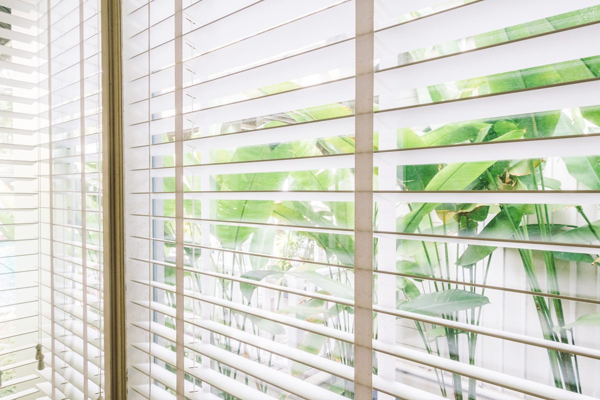 Window Blinds