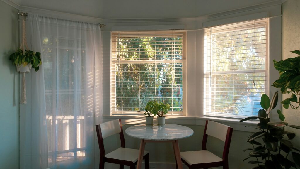 Window Blinds Types