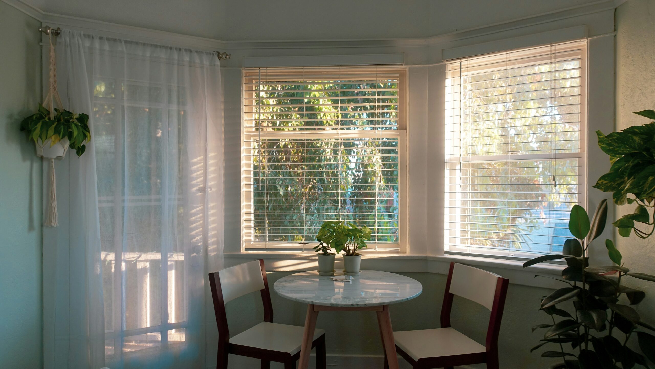 Window Blinds Types