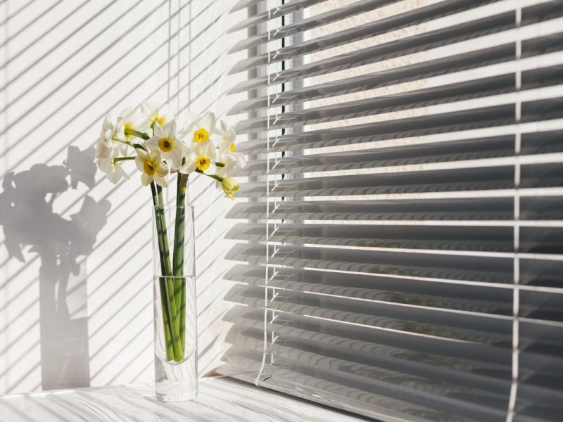 Shutter Design Ideas
